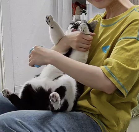 救命🆘朋友去家里帮我喂小猫，问我空调遥控器在哪里，告诉她在床头柜里，转头打开了我放了一抽屉穿戴、指套的柜子。我在监控里尴尬的笑笑：“没事啦，都是拉拉的情趣玩具。”  五月 您好