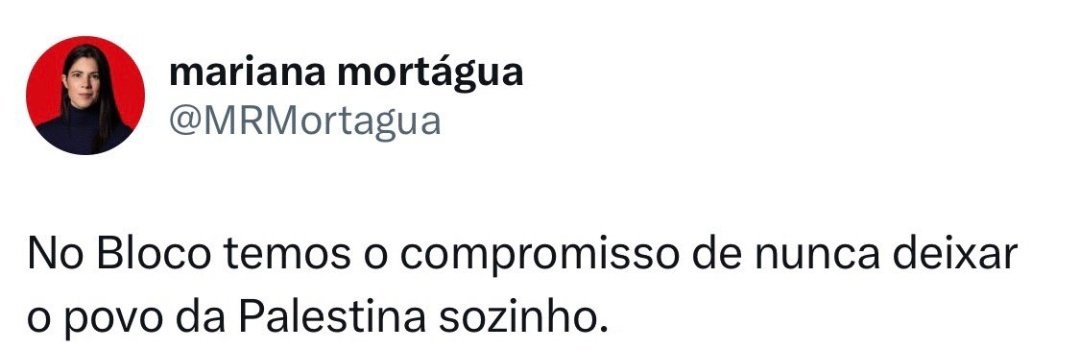 Ela está a candidatar-se às legislativas da Palestina?

Ia jurar que era às Portuguesas 🥸