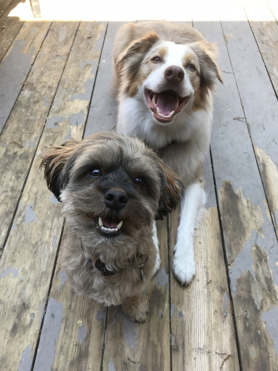 Terry O'Reilly tweet media