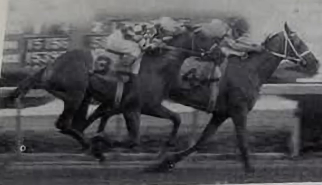 HORSERACING1002's tweet photo. DEED OF TRUST🇺🇸1974
(RELIAN - SUNDAY SCENT BY MAXIMUS)#DeedOfTrust
B/ Robert L. Penix (Ar) March 15, 1974
O/:Austin &amp; Ryan
T/ Darrell Cassidy
62-7-9-6---$62,530
Rainbow S. https://t.co/KlG5HOZwvT