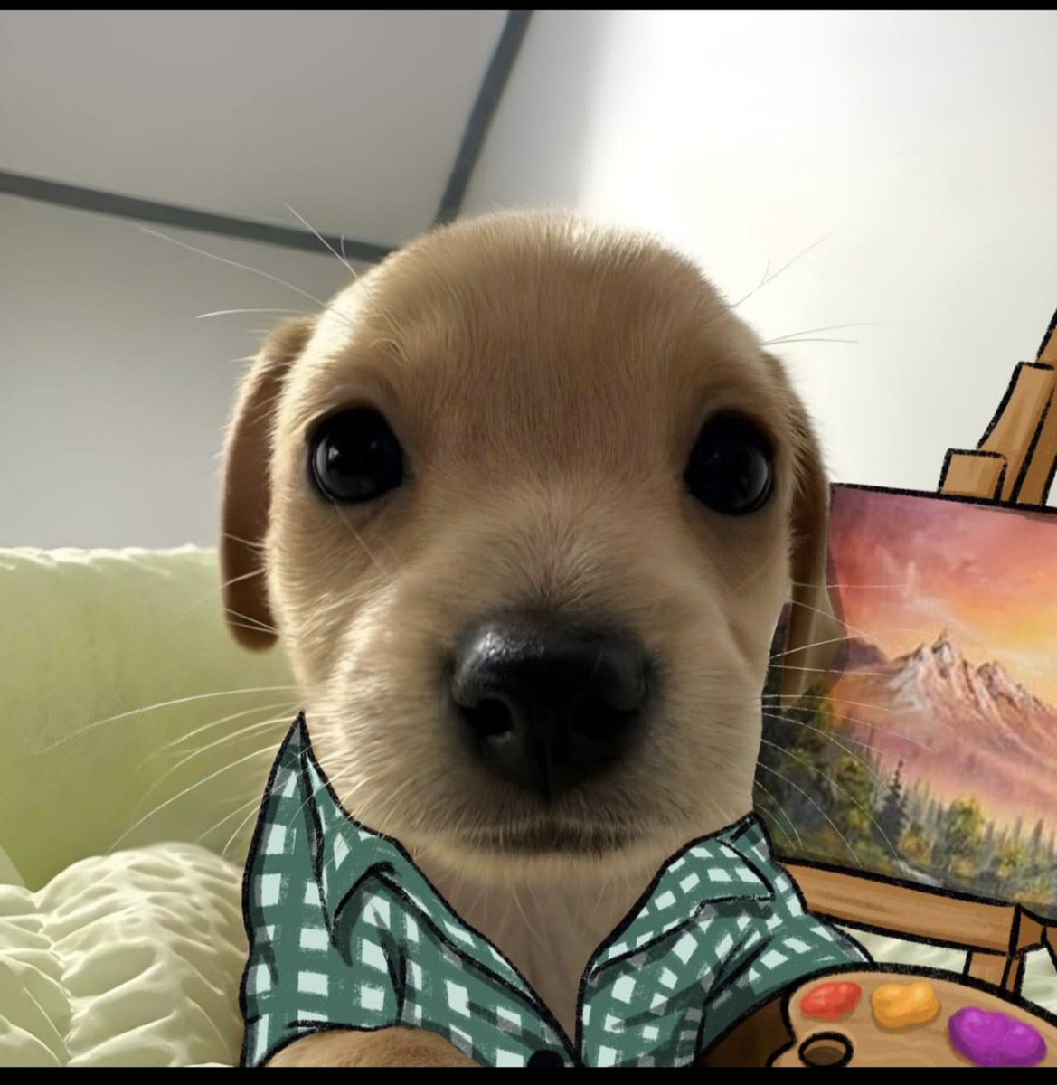 Fred__ca's tweet photo. let me draw a chart for you https://t.co/ksvwEajVnJ