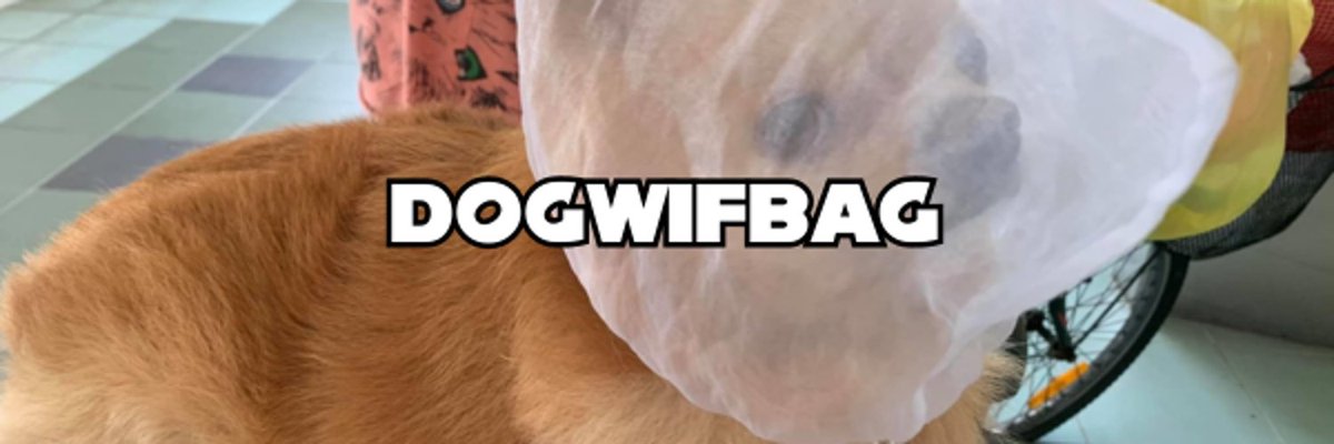 DogWBag's tweet photo. you can join the community telegram

The launch will be announced soon

https://t.co/Dy5nW09Jqc

#SOL $SOL #memecoin #Crypto #WBAG https://t.co/3D2scGATcJ