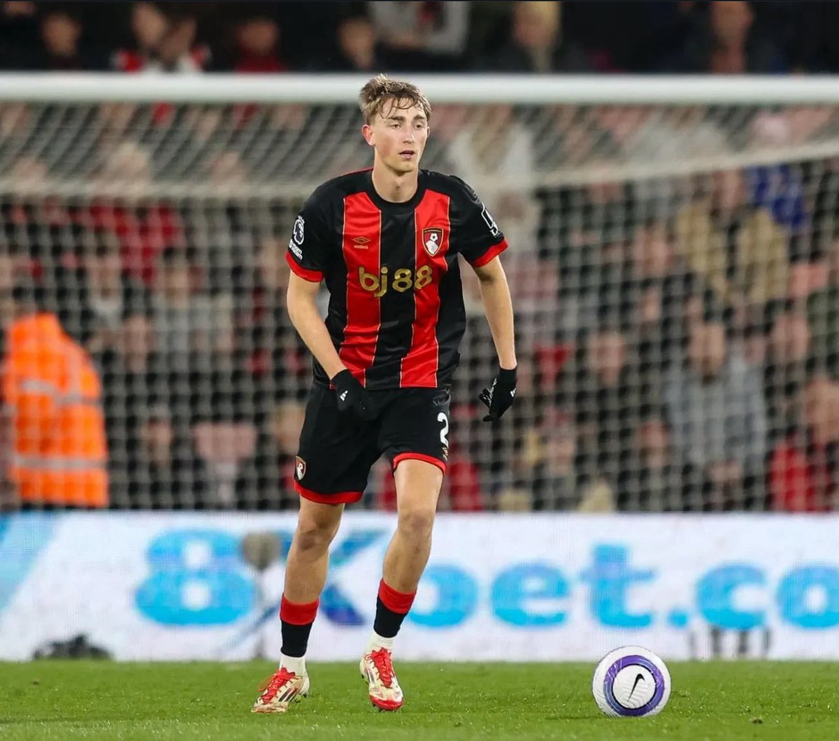 Sacha Tavolieri tweet media