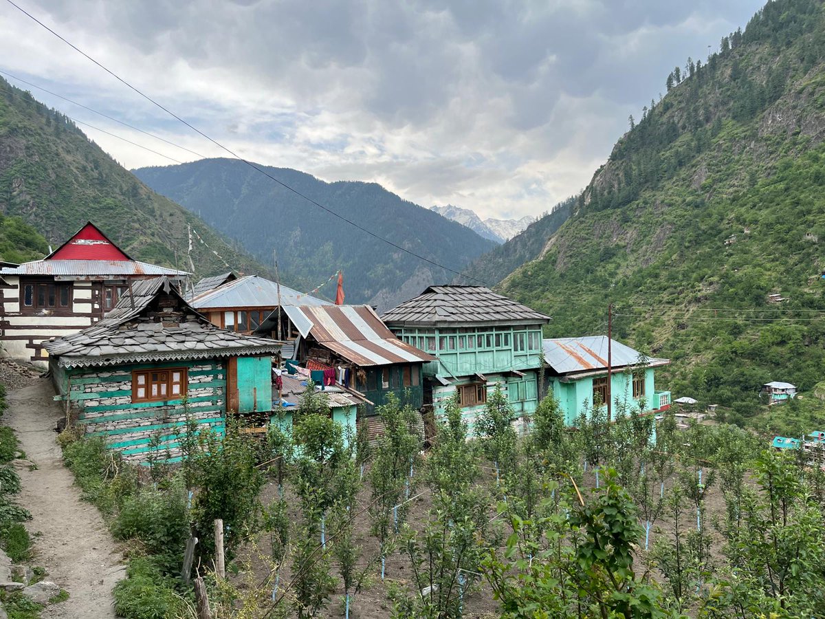 KinnaurSpiti's tweet photo. Bhaba Valley remains largely overlooked by travellers, as it lies off the well-trodden Shimla-Spiti-Manali route. From Wangtu, a solitary bridge spanning the Sutlej River connects this verdant valley to the rest of the world. #HimachalPradesh https://t.co/HlgcKAGjfG