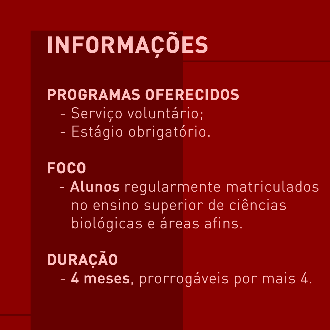 Museu da Amazônia tweet media
