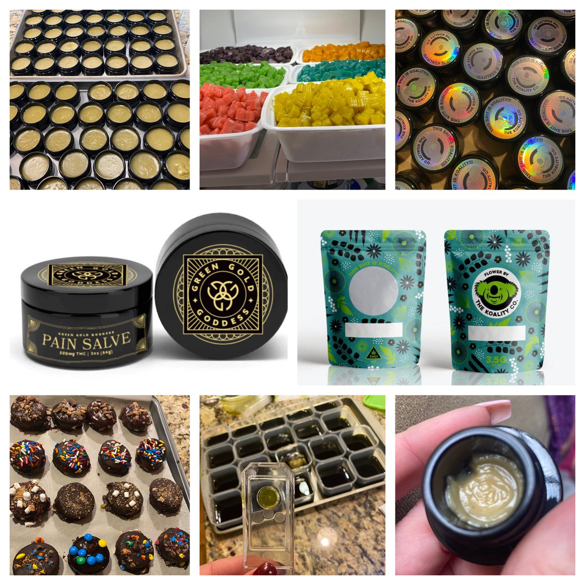 Elijah Spina, PhD (🧬,🌿) tweet media