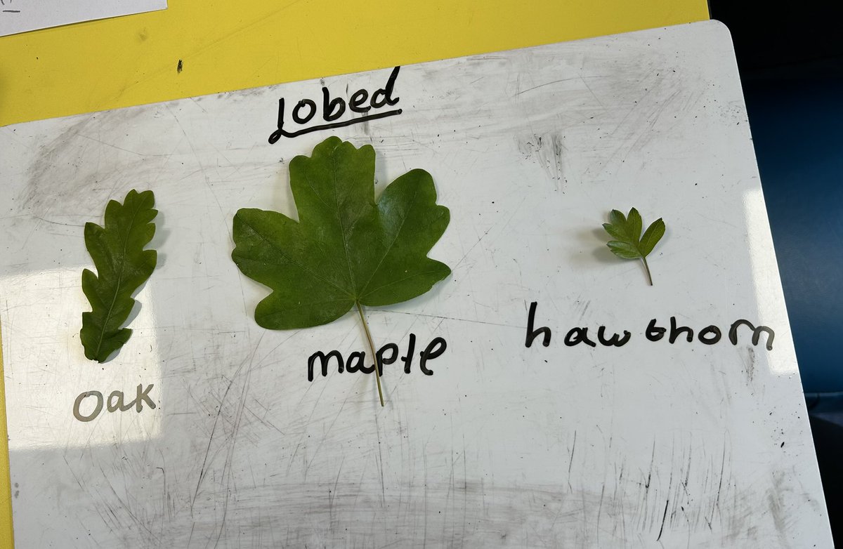 Sam Jackson tweet media