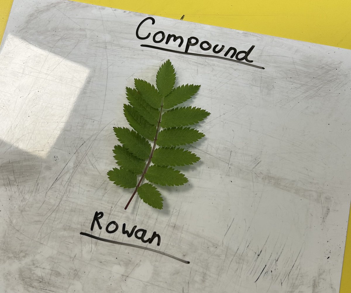 Sam Jackson tweet media