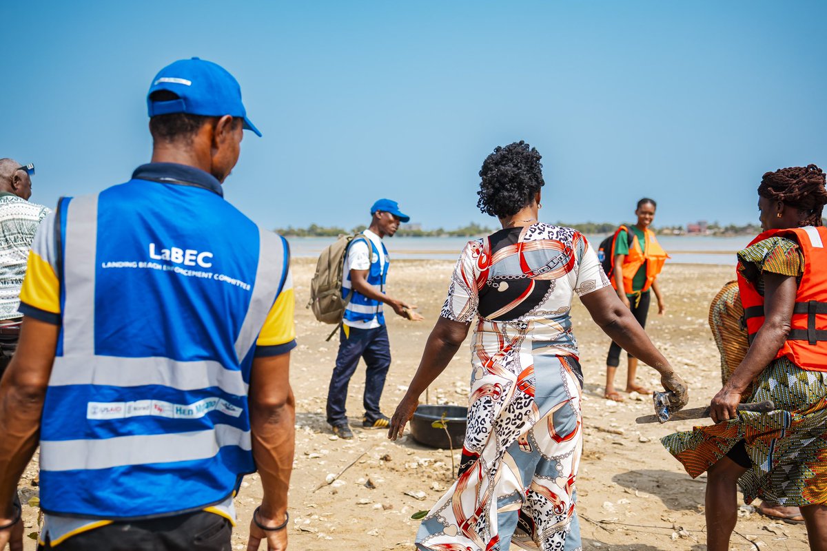 gga_africa's tweet photo. Mangroves provide critical support to coastal communities from sustaining #biodiversity and protecting #shorelines to purifying water bodies, and dealing with the impact of tidal waves. https://t.co/2iwOr0DNpe