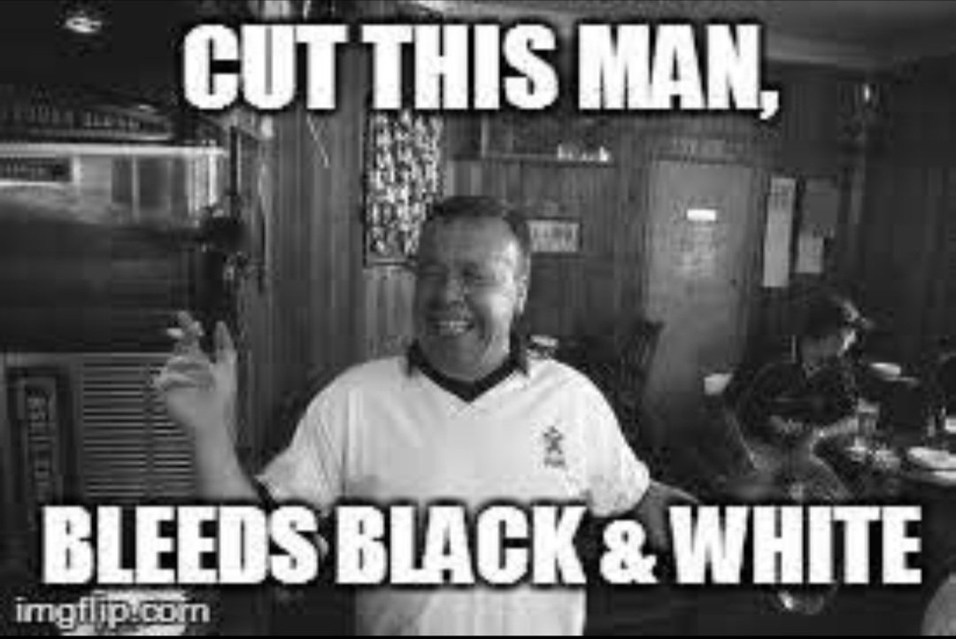 teddy BLT tweet media