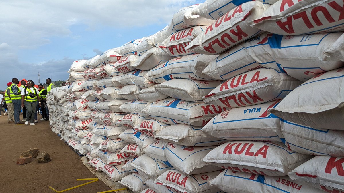 kiro_merveilles's tweet image. Guerre dans l'Est : le député national #Elu de #Goma, Patrick Munyomo est à Béni pour apporter son assistance aux déplacés de guerre du #M23 du Nord et Sud #Kivu. Des vivres composés des plusieurs vaches, des sacs de riz, haricots, semoule...remis aux déplacés via le gouverneur