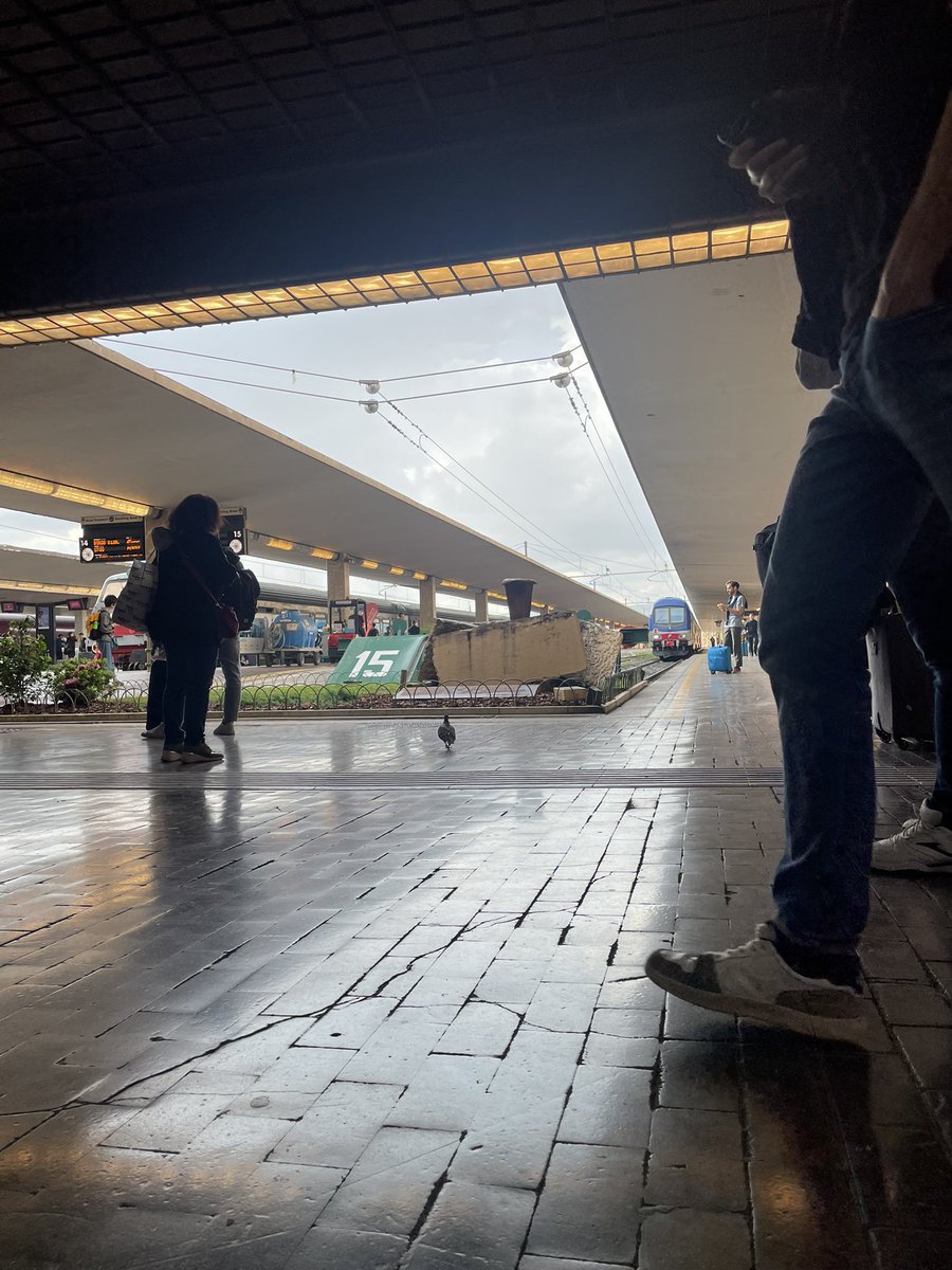 dove vorrei essere oggi, il giorno del mio 29esimo compleanno (cantina tío Pepe, CDMX, con un buon mezcal e delle ottime olive) vs dove sono (a SMN con un treno per roma in ritardo di 30 min).