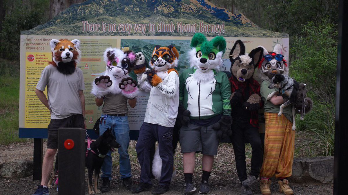 Malo_Kitty_AD's tweet photo. Fun little camping trip in the Scenic Rim! We'll be back to hike you one day, Mt Barney!

📸 @majorhobo 

@DogOnGrog 
@makitoba 
@TillyWolf 
@RedCatbearThing https://t.co/TtK712XpwX