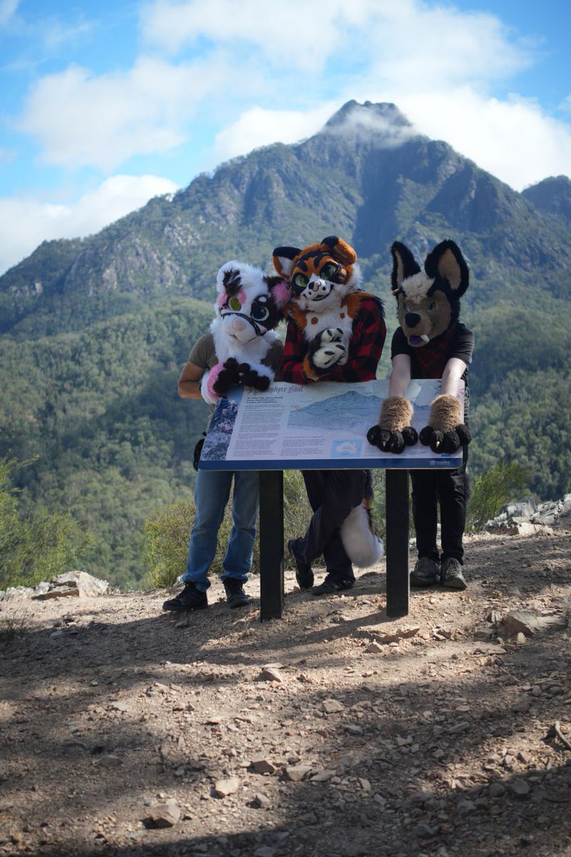 Malo_Kitty_AD's tweet photo. Fun little camping trip in the Scenic Rim! We'll be back to hike you one day, Mt Barney!

📸 @majorhobo 

@DogOnGrog 
@makitoba 
@TillyWolf 
@RedCatbearThing https://t.co/TtK712XpwX