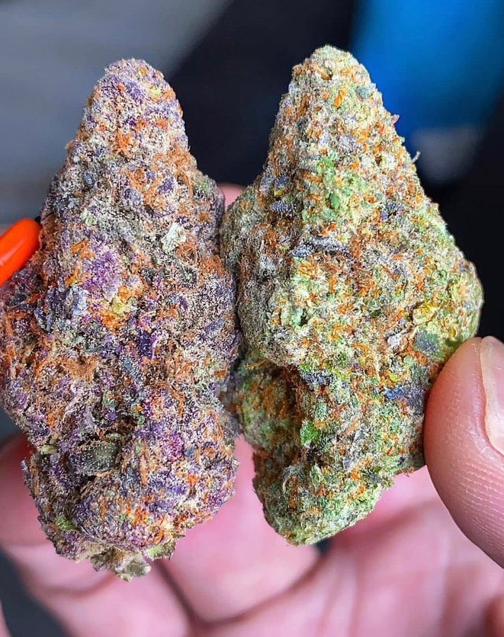 OGNATION100's tweet image. Left or right