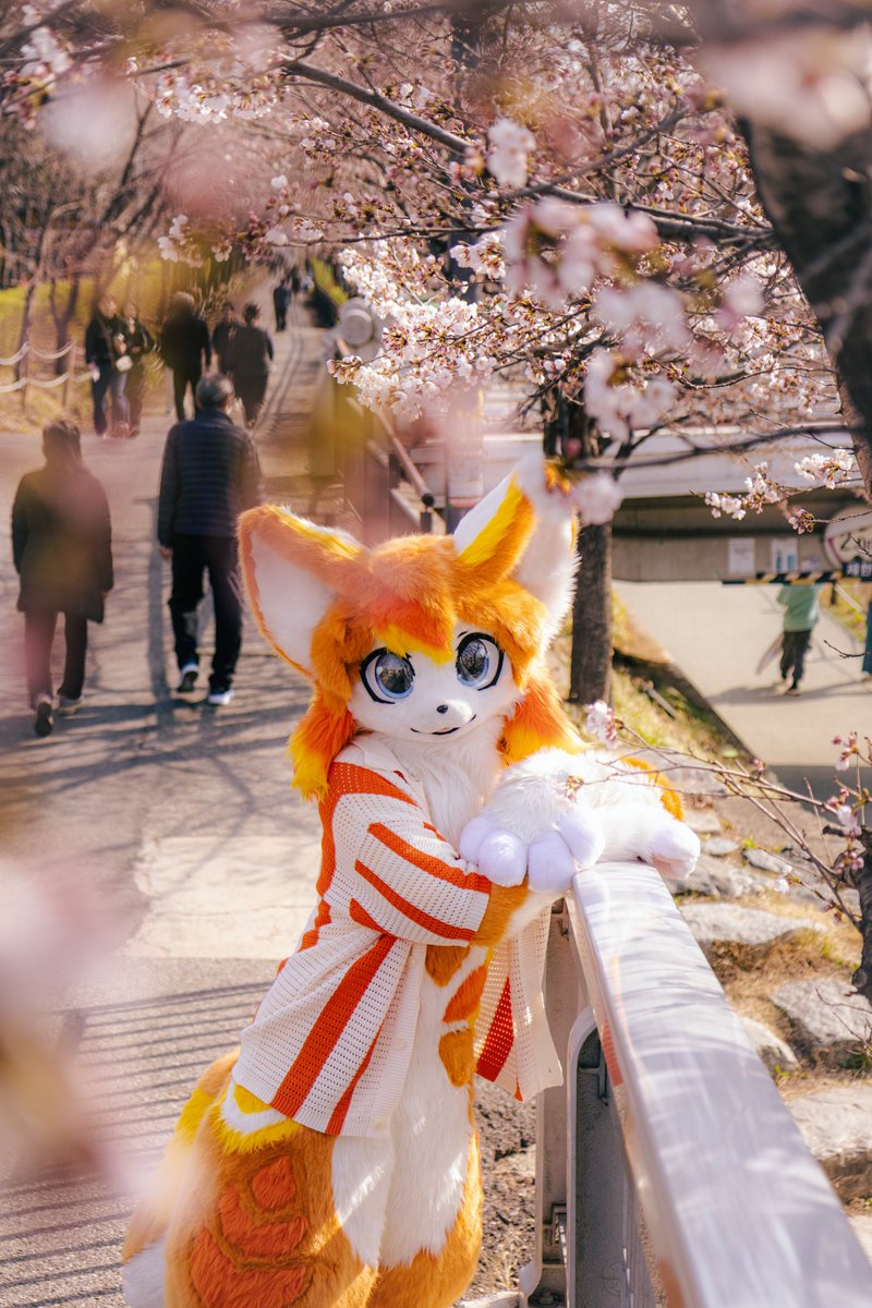 꽃을 언제 다시 볼 수 있을까요🌸
#FursuitFriday