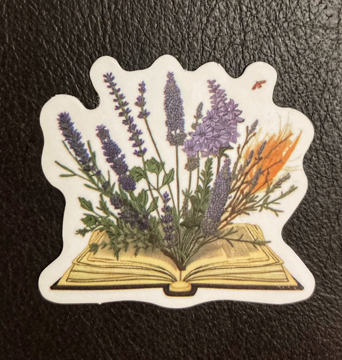 Mimi Manyin tweet media