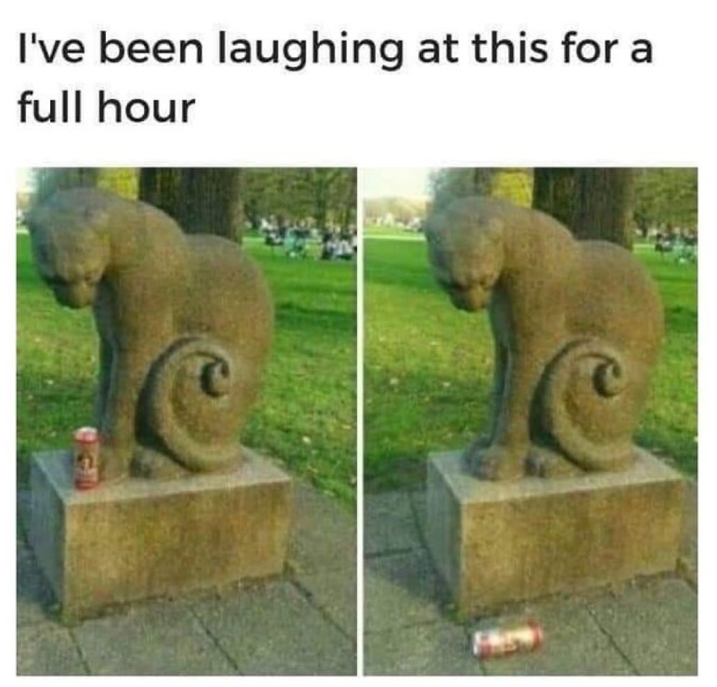 contents that ll heal your depression 🌻 (@catshealdeprsn) on Twitter photo 