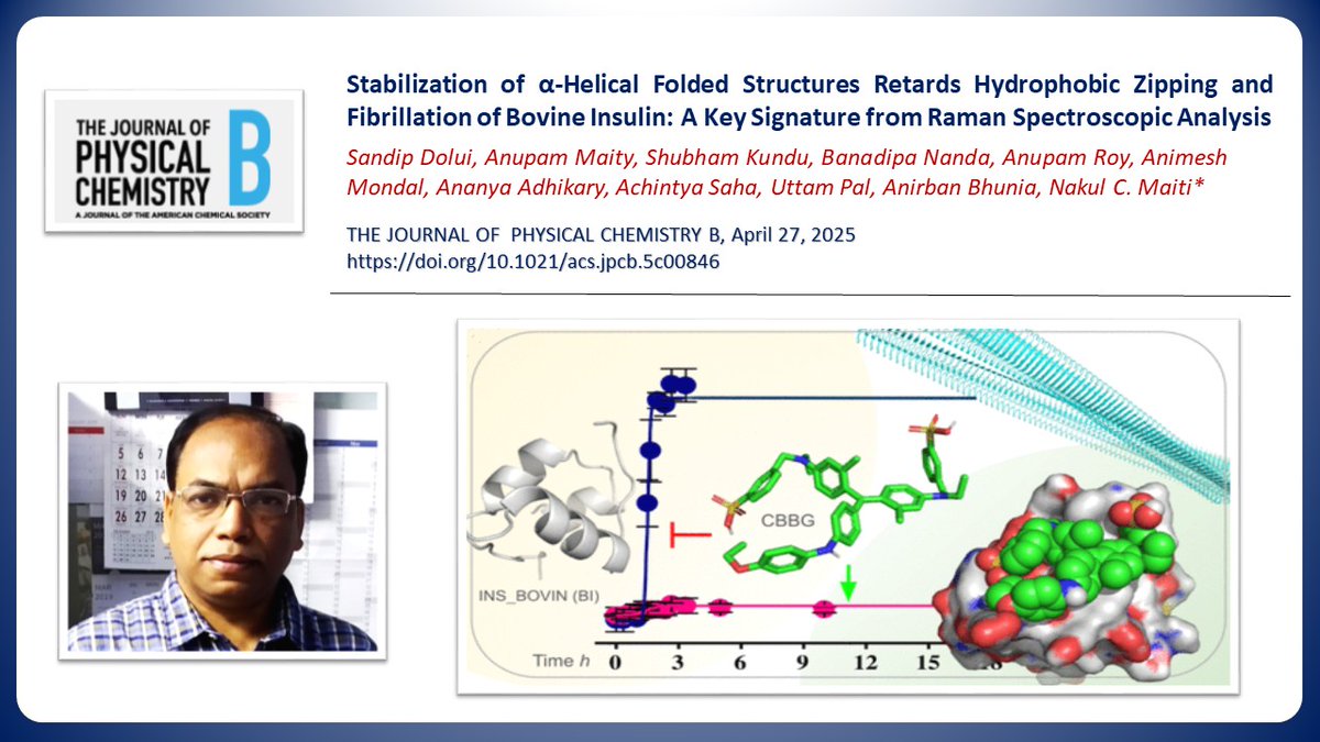 Congratulations to Dr. Nakul C. Maiti, Senior Principal Scientist, CSIR-IICB and his team for their new publication, in the Journal of Physical Chemistry B. (doi.org/10.1021/acs.jp…)