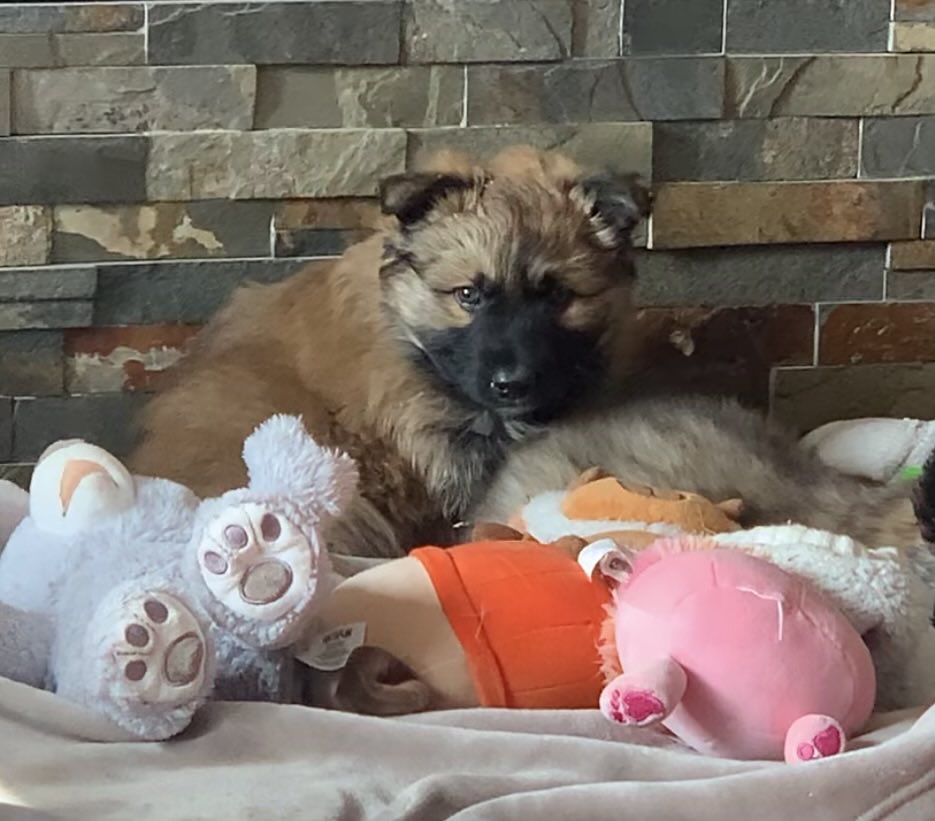 Coming soon…❤️