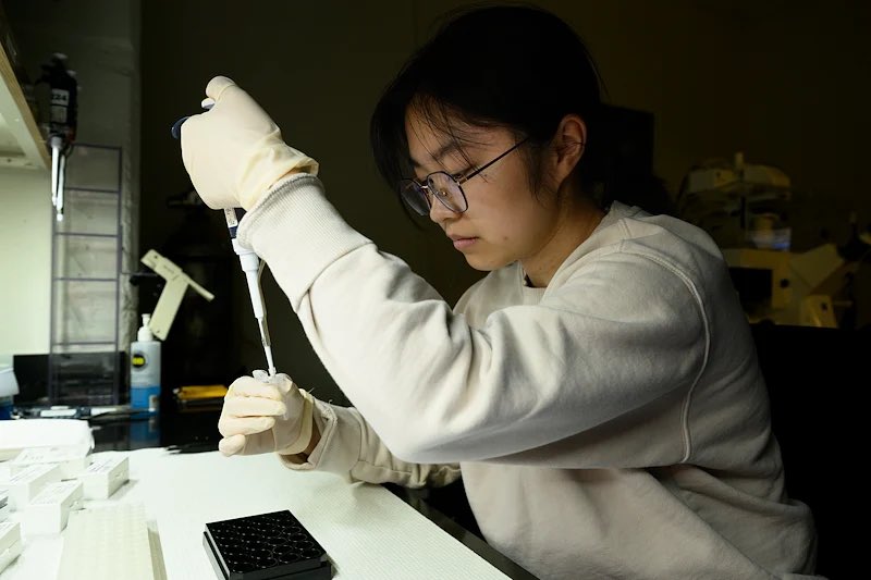 MudayLab's tweet photo. The Muday Lab has three graduating seniors this year! Sam Crossman, Keyi Huang, and Gavin Ehlers! We are super proud of these seniors and all the work they have done during their time at Wake.  Congrats #wfu25 https://t.co/BTUpgLEnqs