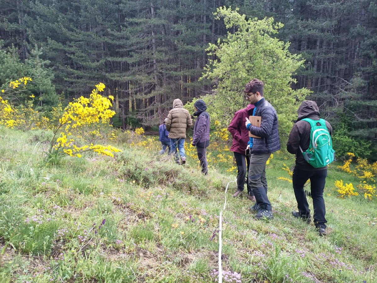Network Nazionale della Biodiversità (@networknnb) on Twitter photo 52 squadre al lavoro in tutta Italia per l'avvio della campagna di rilievi vegetazionali nei #ParchiNazionali
prevista da #DigitAP
👉News bit.ly/44BlxHn
#biodiversità #dati #monitoraggio
<a href="/ISPRA_Press/">ISPRA - Ist. Sup. Protezione e Ricerca Ambientale</a> <a href="/MASE_IT/">Ministero Ambiente e Sicurezza Energetica</a> <a href="/ParcoSila/">Parco Nazionale Sila</a> 52 squadre al lavoro in tutta Italia per l'avvio della campagna di rilievi vegetazionali nei #ParchiNazionali
prevista da #DigitAP
👉News bit.ly/44BlxHn
#biodiversità #dati #monitoraggio
<a href="/ISPRA_Press/">ISPRA - Ist. Sup. Protezione e Ricerca Ambientale</a> <a href="/MASE_IT/">Ministero Ambiente e Sicurezza Energetica</a> <a href="/ParcoSila/">Parco Nazionale Sila</a>