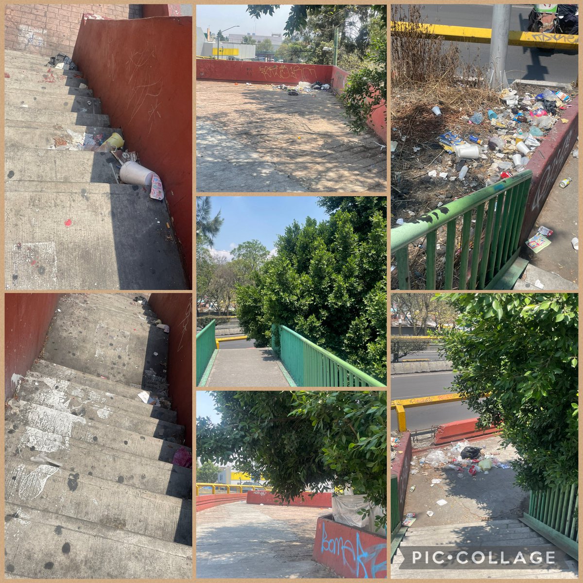 ClaudiaCastillo (@mhtacubaya) on Twitter photo Esta área se encuentra sobre av Parque Lira frente a la estación Tacubaya d línea 7 <a href="/MetroCDMX/">MetroCDMX</a>
Solicito se haga limpieza y se piden ramas d árbol ya q aquí se cometen delitos de robo a transeúntes
<a href="/AlcaldiaMHmx/">Alcaldía Miguel Hidalgo</a> <a href="/davidrola07/">David RL</a>
<a href="/SOBSECDMX/">Secretaría de Obras y Servicios CDMX</a> <a href="/GobCDMX/">Gobierno de la Ciudad de México</a> Esta área se encuentra sobre av Parque Lira frente a la estación Tacubaya d línea 7 <a href="/MetroCDMX/">MetroCDMX</a>
Solicito se haga limpieza y se piden ramas d árbol ya q aquí se cometen delitos de robo a transeúntes
<a href="/AlcaldiaMHmx/">Alcaldía Miguel Hidalgo</a> <a href="/davidrola07/">David RL</a>
<a href="/SOBSECDMX/">Secretaría de Obras y Servicios CDMX</a> <a href="/GobCDMX/">Gobierno de la Ciudad de México</a>