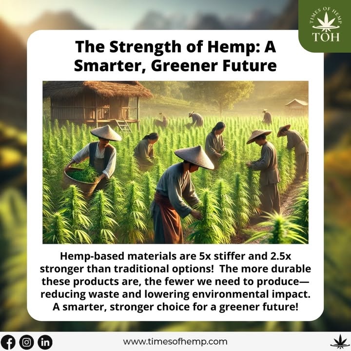 Effort's Eco-Essentials tweet media