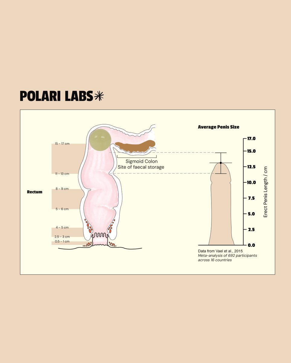 Polari Labs tweet media