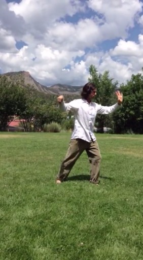 Tyler VanGemert LAc tweet media