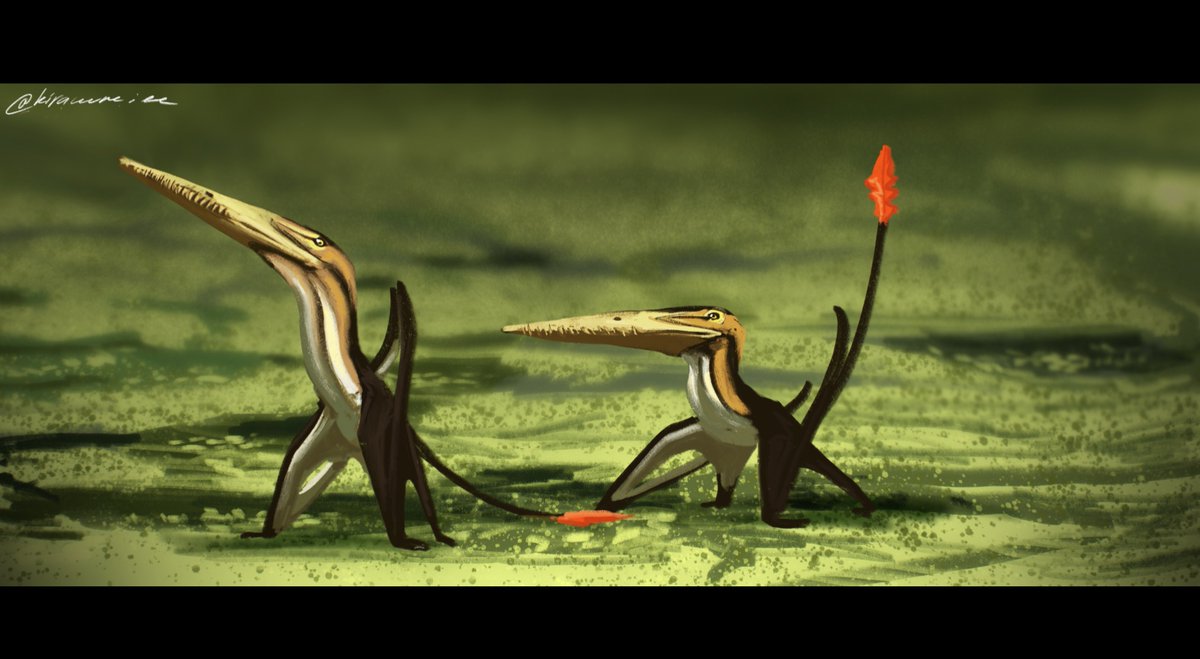kyrazhuravel's tweet photo. Flirting Meikamters for day 11 of #50daysofpterosaurs https://t.co/bgKb2RPYFc