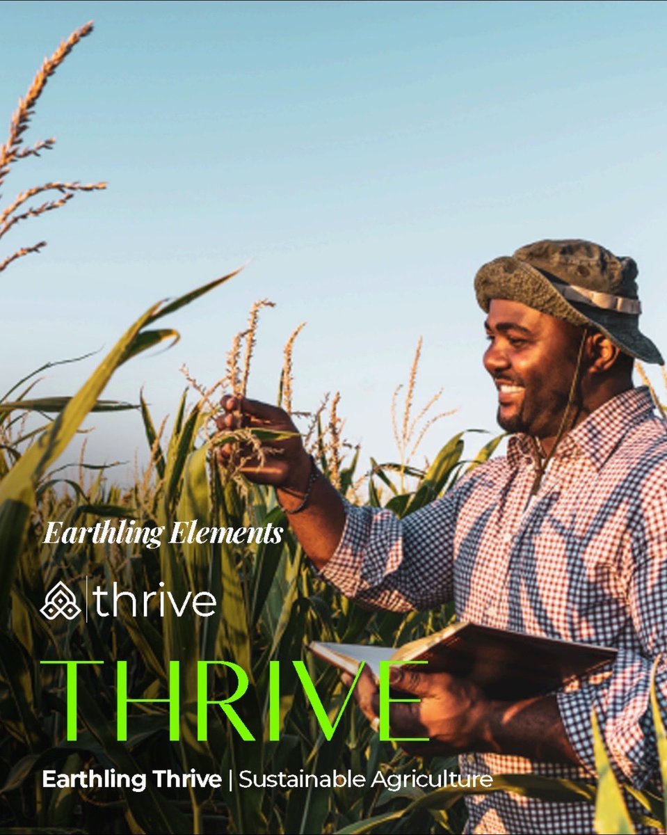 etlimited_'s tweet photo. One brand. Different elements.
Swipe to explore the heart of Earthling — from creativity to sustainability https://t.co/B3zlDYw2an