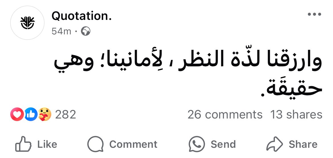Kholoud faris tweet media