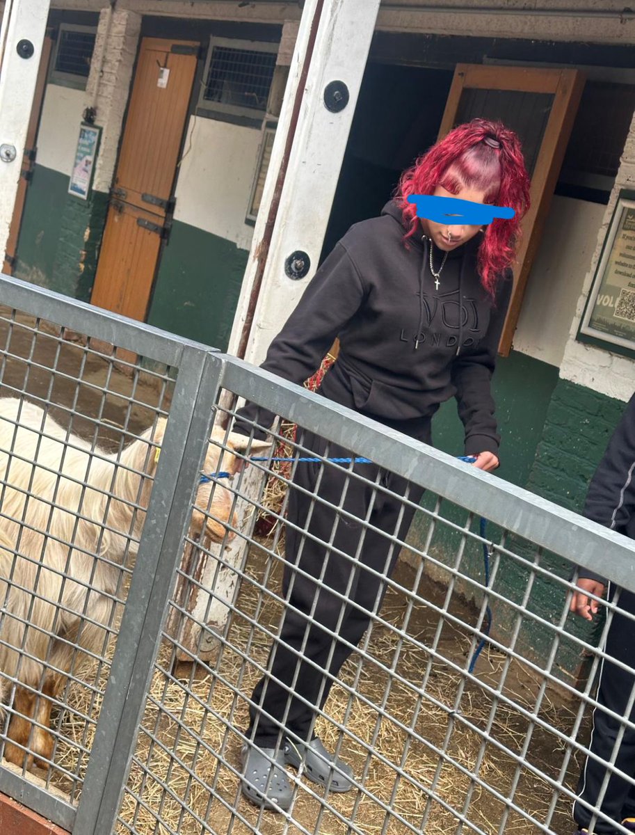 Cuteness overload at Vauxhall City Farm this week! #FST #Youthwork🧑‍🌾