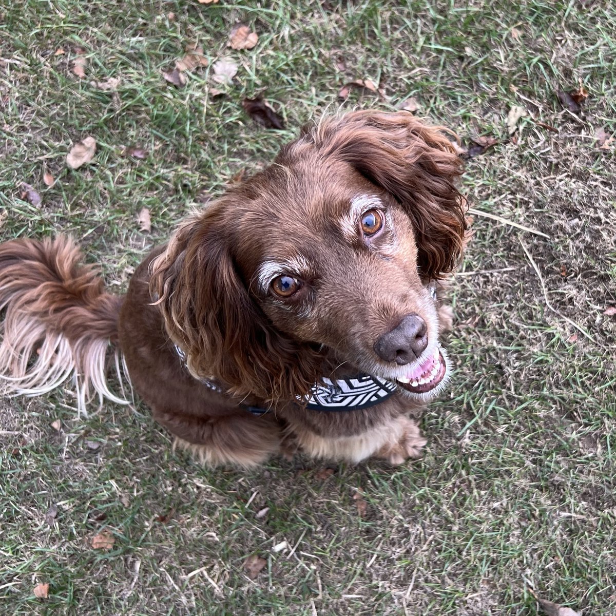 Floor (she/her) tweet media