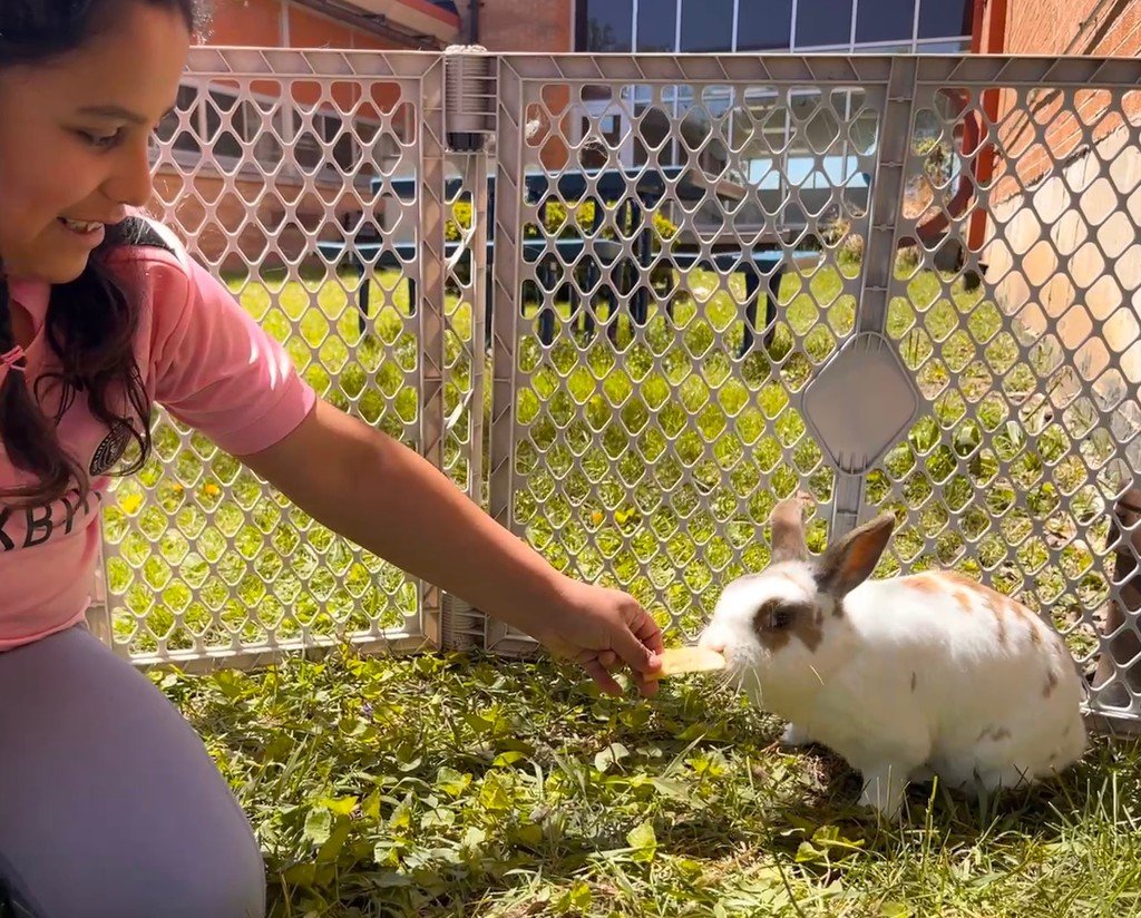 It's been a wonderful week for some bunny visits! Fun times with Daisy and Leo!
☀️🐰💐
¡Ha sido una maravillosa semana para visitar a los conejitos! ¡Momentos divertidos con Daisy y Leo! 
#JeffersonJourney🐝