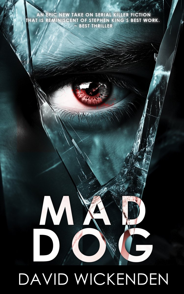 Cover Reveal!
Last fall, I left my publisher and am I had to change the cover art as the original was owned by the publisher. Check out Juan Padron's incredible artwork.  Mad Dog follows four teens as they battle a psychopath in the west end of Sudbury in 1975