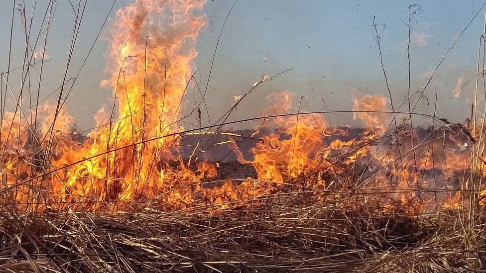 With an extreme warning in place, Scottish Fire and Rescue Service is urging people to avoid the use of naked flames, including barbecues, outdoors.
Wildfires have the potential to burn for days, devastate land and wildlife and threaten nearby communities. firescotland.gov.uk/outdoors/wildf…