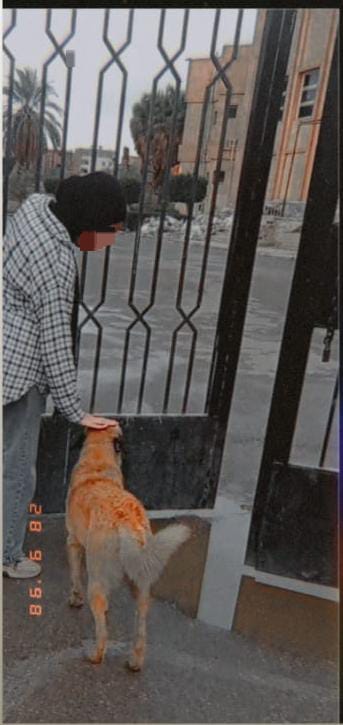 كان شتاء 2024