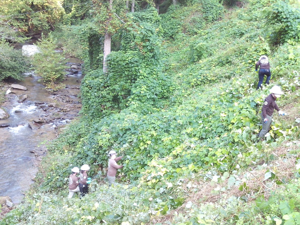 ace_corps's tweet photo. #ThrowbackThursday to 2016...different crew, same lasting impact! ⚒️🥾😎 

#Throwback #ACEInspires #Outdoors #Nature https://t.co/lpoJ3vP9c7