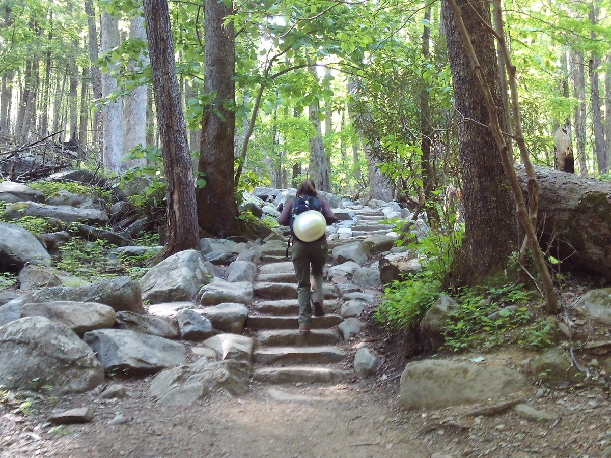 ace_corps's tweet photo. #ThrowbackThursday to 2016...different crew, same lasting impact! ⚒️🥾😎 

#Throwback #ACEInspires #Outdoors #Nature https://t.co/lpoJ3vP9c7
