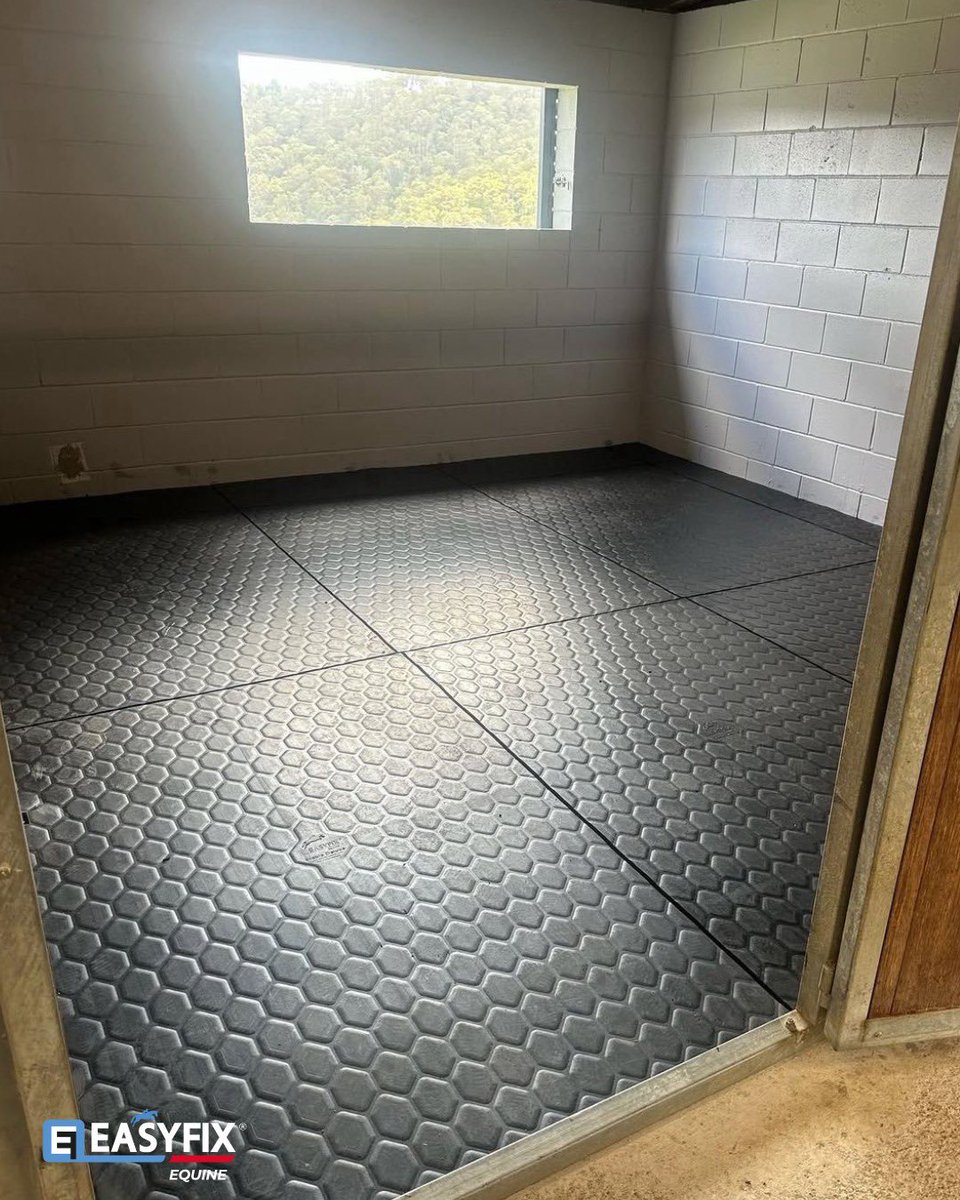 EASYFIX Equine tweet media