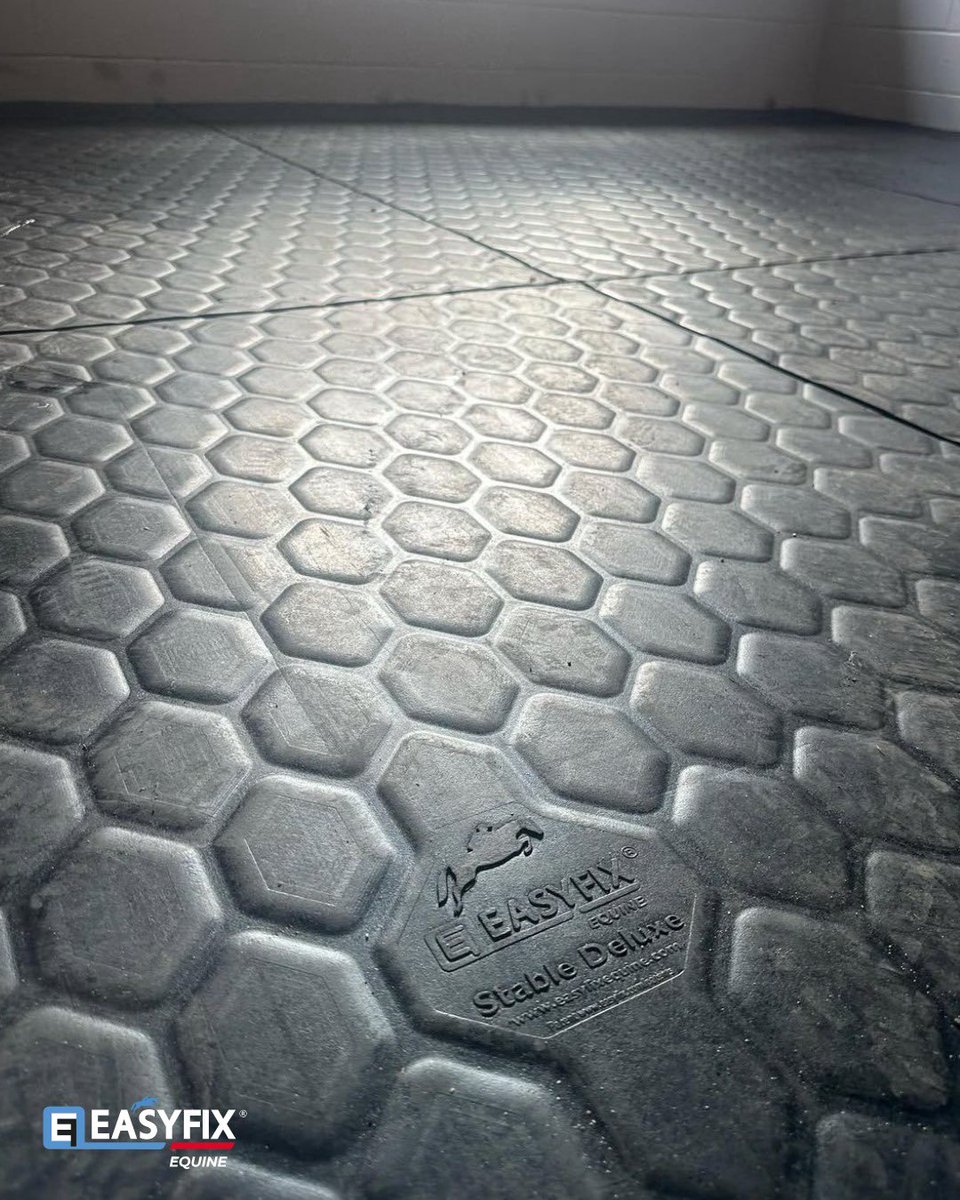 EASYFIX Equine tweet media