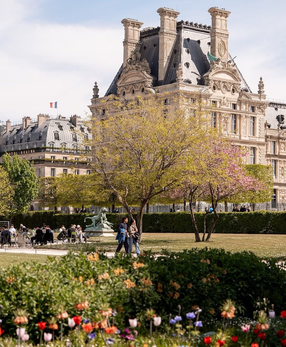 La primavera nel Jardin des Tuileries ✨🌸

📷 bysammyroyal

#parigipuntoit #parigi #paris