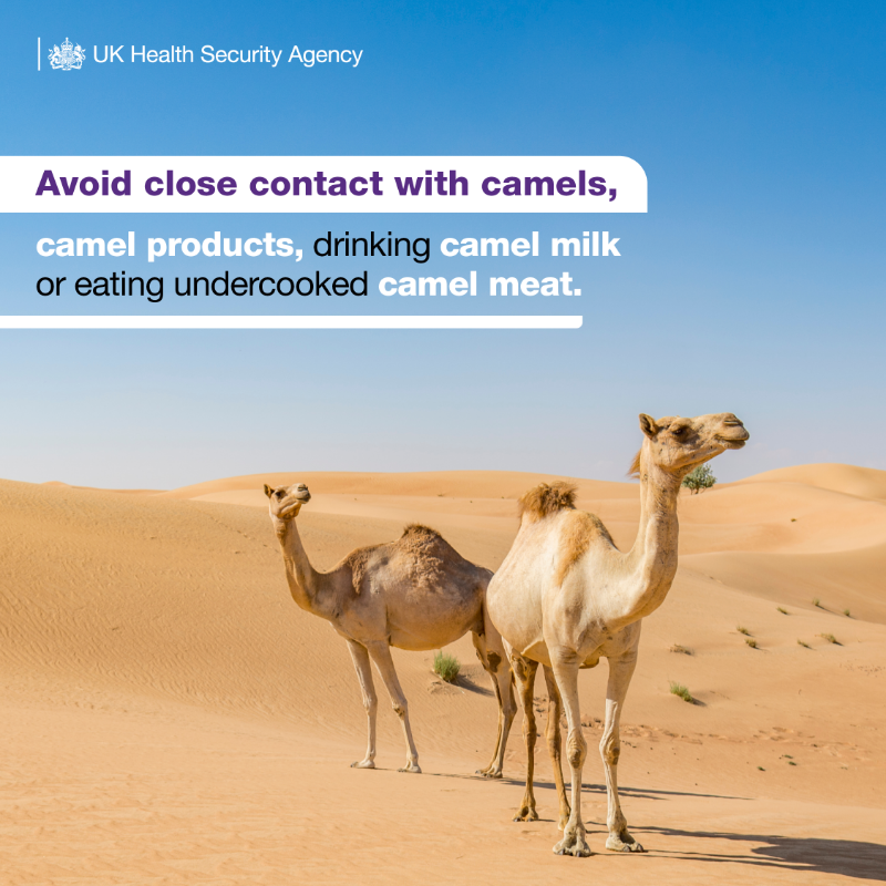 UKHSA's tweet photo. If you are travelling to Saudi Arabia for #Hajj or #Umrah, check the latest advice on the  Travel Health Pro website well in advance 🕋