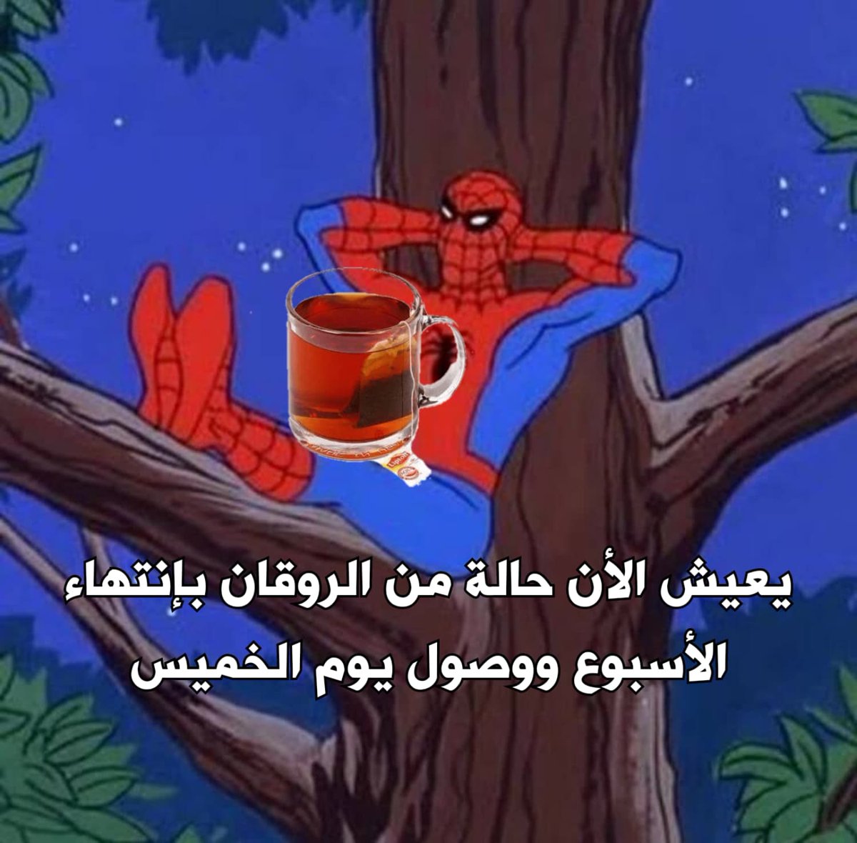 i meme it (@egymeme11) on Twitter photo 