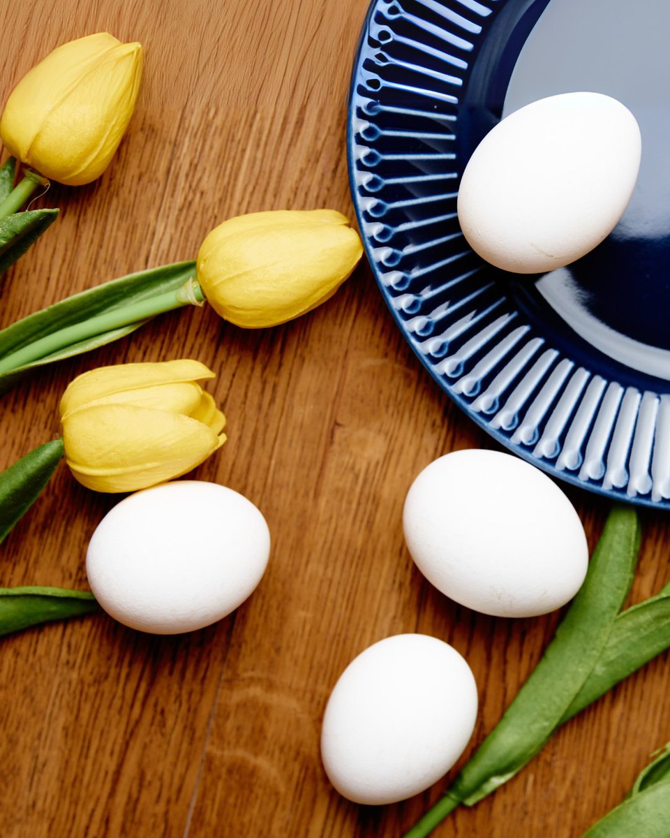 ☀️ The weather’s warming up!
DYK: Eggs are packed with tons of moisture and protein to help keep you energized and hydrated as temps rise?