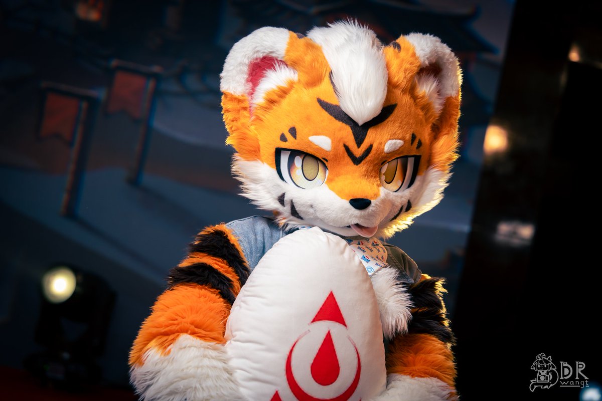 baicai_coin's tweet image. 现已推出老虎代孵蛋服务
📷：@wangtai12
#FursuitFriday