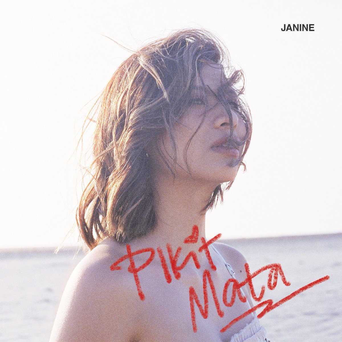 janine tweet media