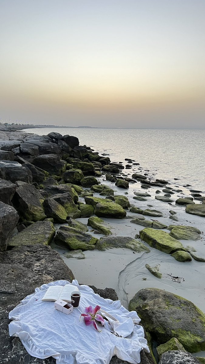loole11414's tweet photo. "كُل تكرار مُمل، إلا رؤيتك 🌊 https://t.co/j4jVPq2i17